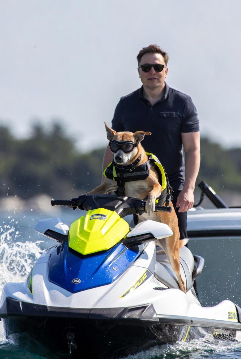 Jetdog Trump